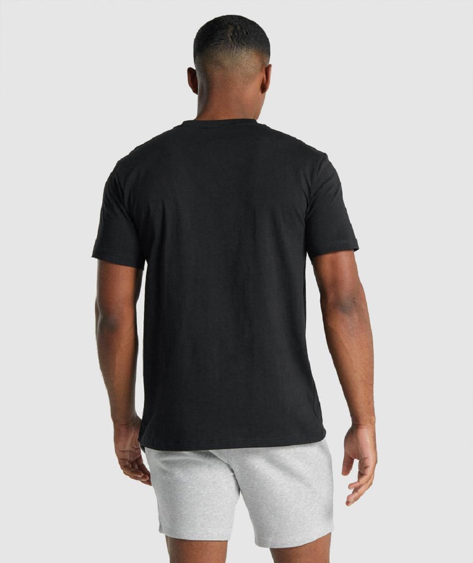 Gymshark Crest Muške T Shirts Crne | HR 2535WNB